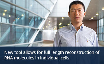 New tool allows for full-length reconstruction of RNA molecules in individual cells