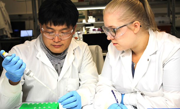 researcher working in lab