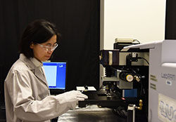 A researcher works in a laboratory